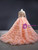 Orange Tulle Long Sleeve Appliques Prom Dress