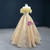 Gold Tulle Embroidery Appliques Feather Prom Dress