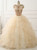 Champagne Orgaza Beading Sequins Quinceanera Dress