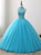 Blue Tulle Appliques Backless Sweet 16 Dress