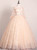 Champagne Pink Tulle Long Sleeve Quinceanera Dress