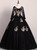 Black Tulle V-neck Appliques Long Sleeve Quinceanera Dress