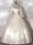 Champagne Tulle Long Sleeve Butterfly Appliques Quinceanera Dress