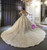 Champagne Tulle Sequins Square Long Sleeve Wedding Dress