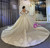 Sequins Lace Long Sleeve Backless Beading Wedding Dress