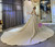 Ball Gown Sequins Beading Straps Wedding Dress