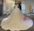 White Tulle Sequins V-neck Long Sleeve Wedding Dress