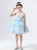 In Stock:Ship in 48 Hours Blue Tulle Appliques Flower Girl Dress