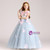 In Stock:Ship in 48 hours Blue Tulle Pink Appliques Flower Girl Dress