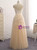 Champagne Tulle 3D Appliques V-neck Prom Dress