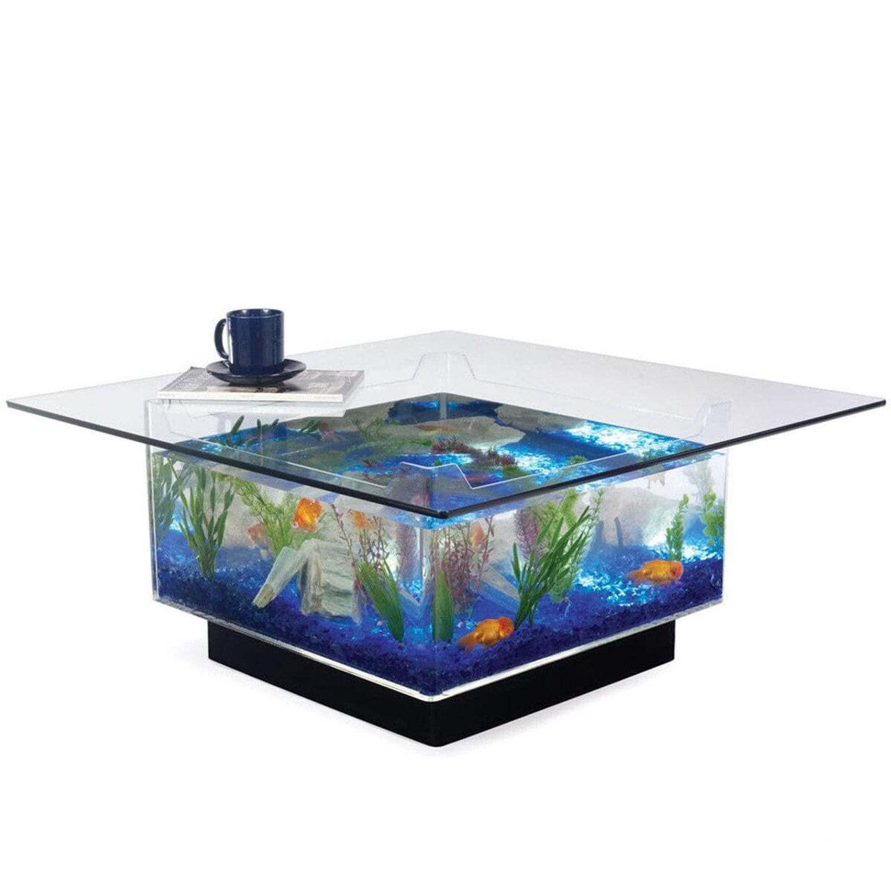 Coffee Table Aquariums