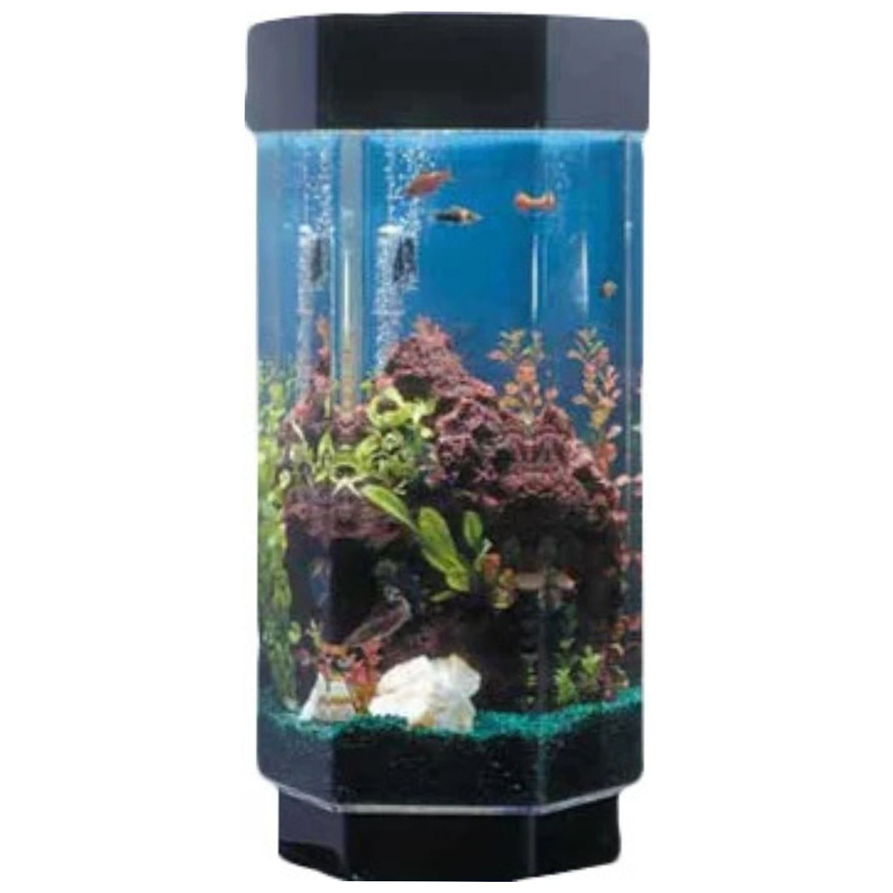 AquaScape Aquariums