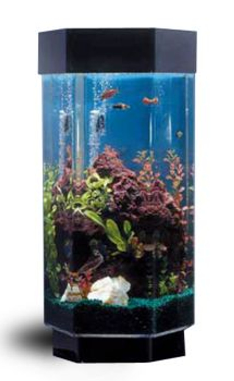 TM Aquatix Pierre d'aquarium la Roche Naturel Décoration (10kg, Dragon)