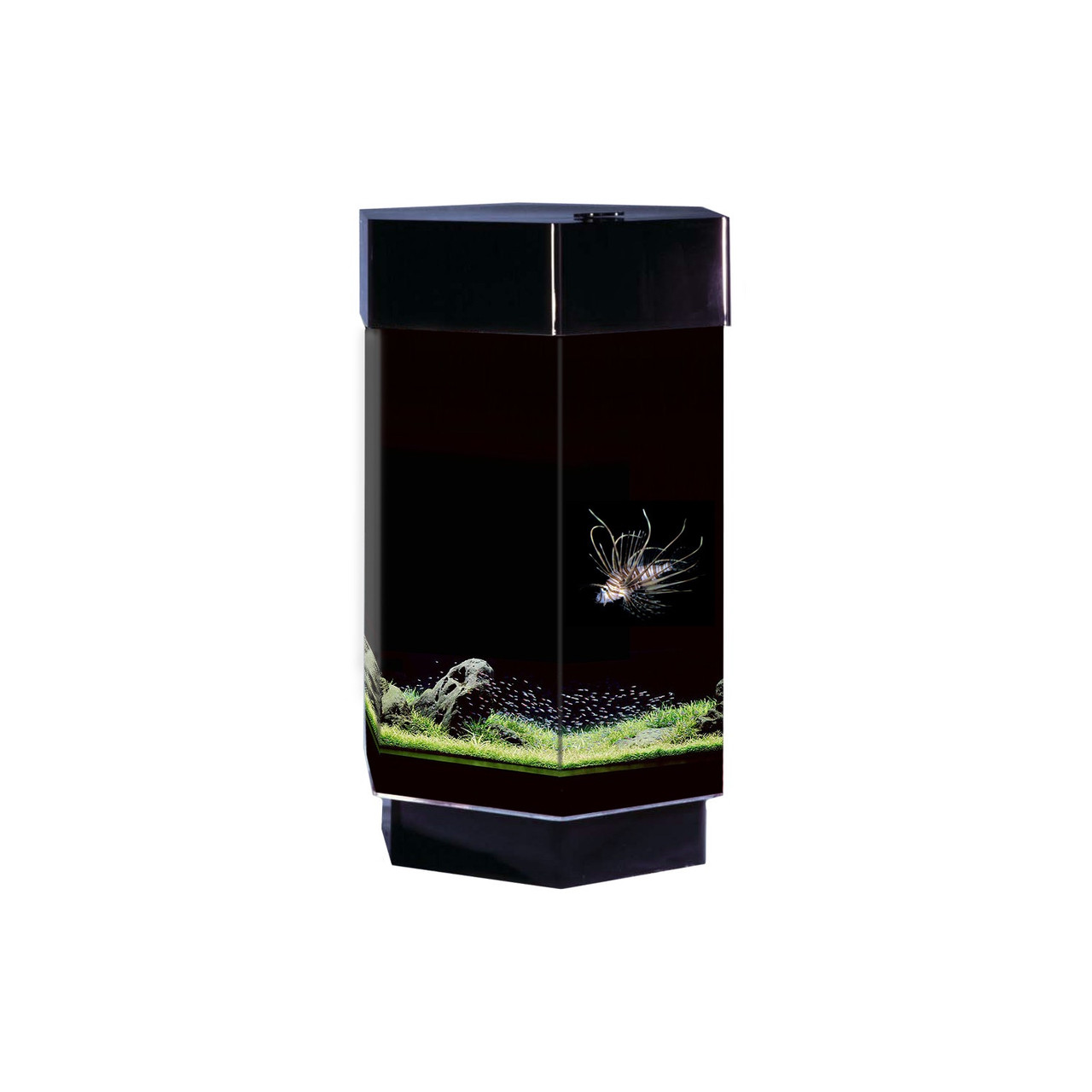 Midwest Tropical Custom Water Features