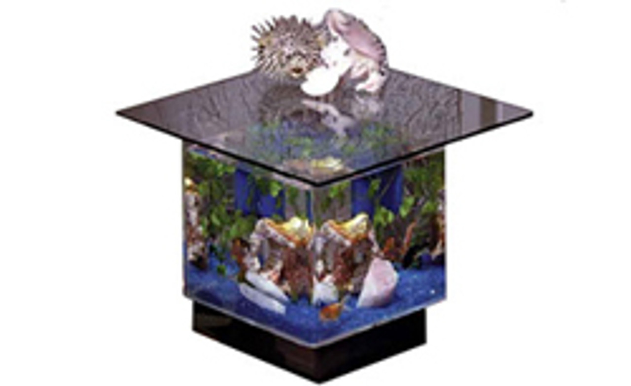 table fish tank