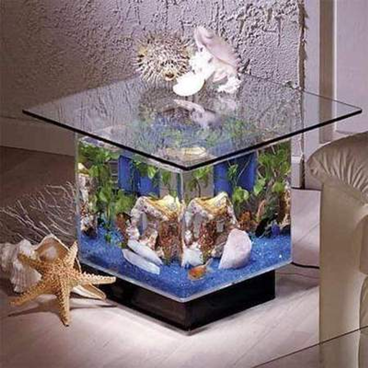 table fish tank