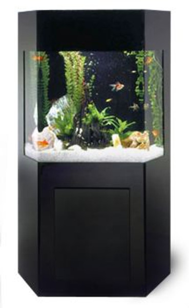 SB-1 Shadow Box AquaCustom Aquarium (Discontinued)