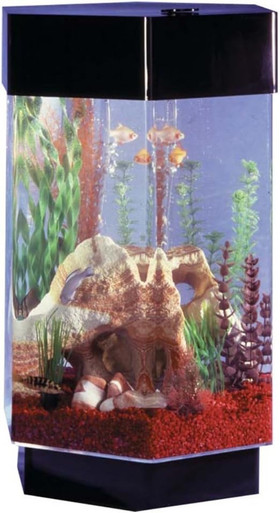 IN THE FISHTANK CD10枚セット Midwest Tropical Custom Water Features