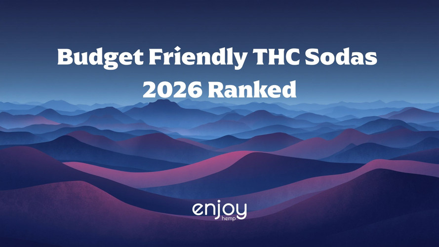 Budget Friendly THC Sodas Under $5 a Can (2026 Ranked)