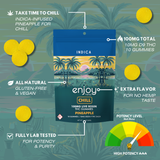 100mg THC Chill Gummies | Pineapple (Indica)