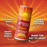 10mg THC + 100mg Caffeine Energy Seltzer | Iced Tea Lemonade