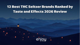 12 Best THC Seltzer Brands Ranked by Taste and Effects 2026 Review