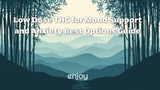 Low Dose THC for Mood Support and Anxiety: Best Options 2026 Guide