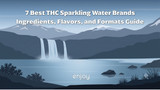 7 Best THC Sparkling Water Brands: Ingredients, Flavors, and Formats 2026 Guide