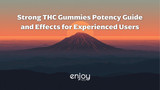 Strong THC Gummies: Potency Guide and Effects for Experienced Users | 2026