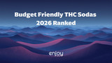 Budget Friendly THC Sodas Under $5 a Can (2026 Ranked)