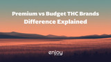 Premium vs Budget THC Brands: What's the Difference? (2026)