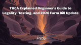 THCA Explained: Beginner’s Guide to Legality, Testing, and 2026 Farm Bill Update