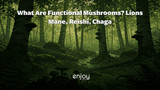 What Are Functional Mushrooms? Lion's Mane, Reishi, Chaga