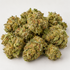 Sour Diesel - Sativa • Diesel • Pungent • Citrus