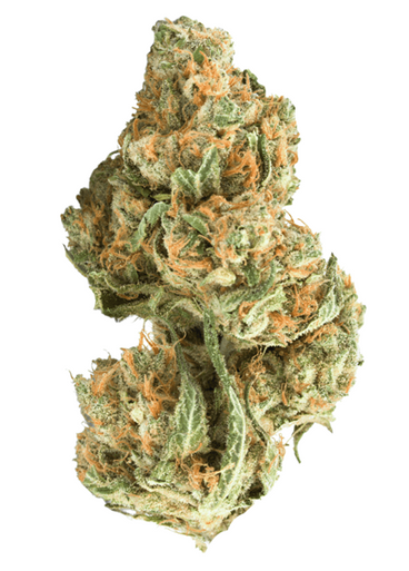 3.5g THCA Flower - Blue Dream for Cloud Nine (Hybrid)