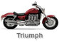 Triumph - Easy Detachable Saddlebag Brackets Set