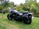 507 Plain Suzuki Boulevard