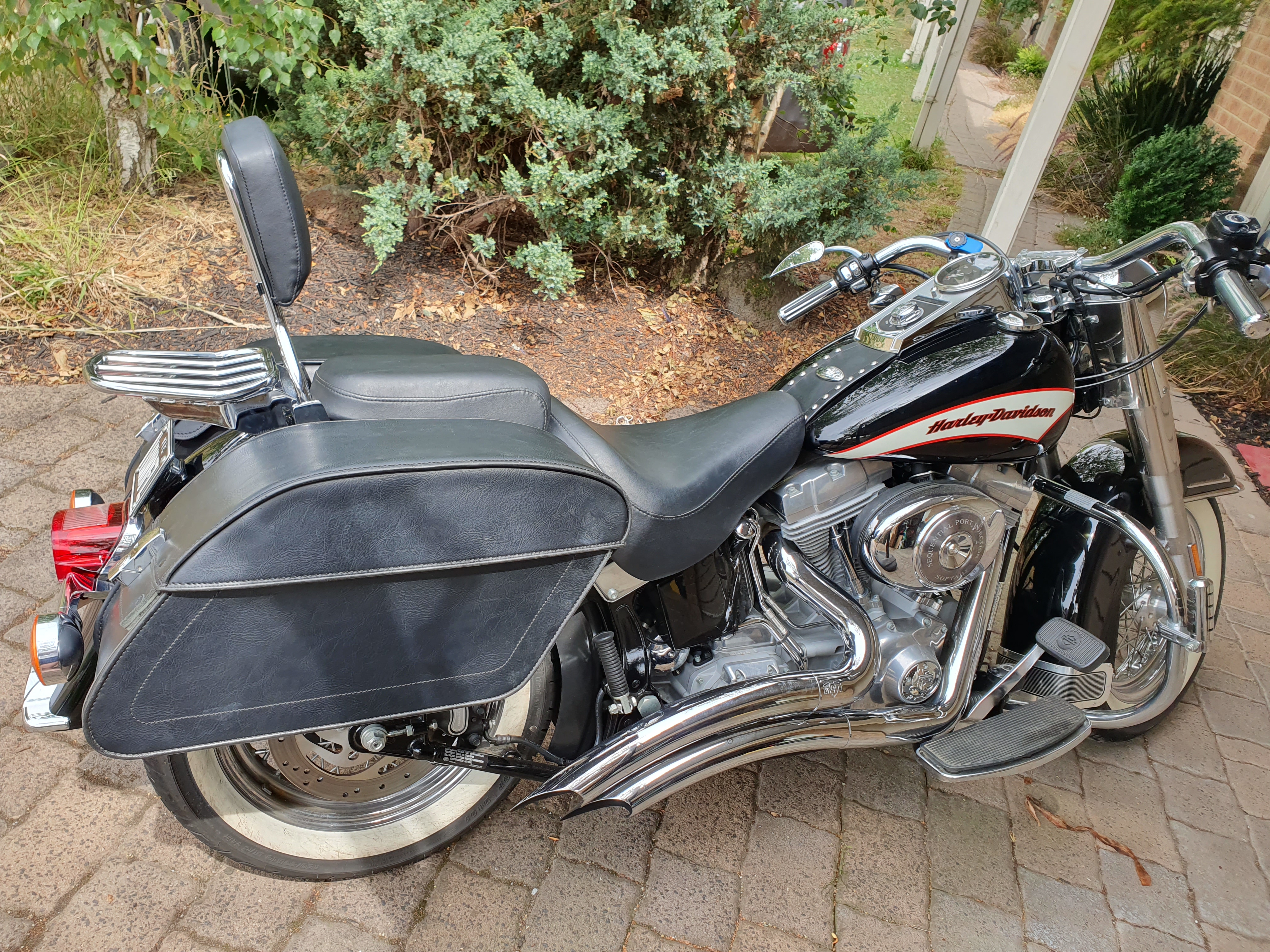 Finn moto 2025 saddlebags