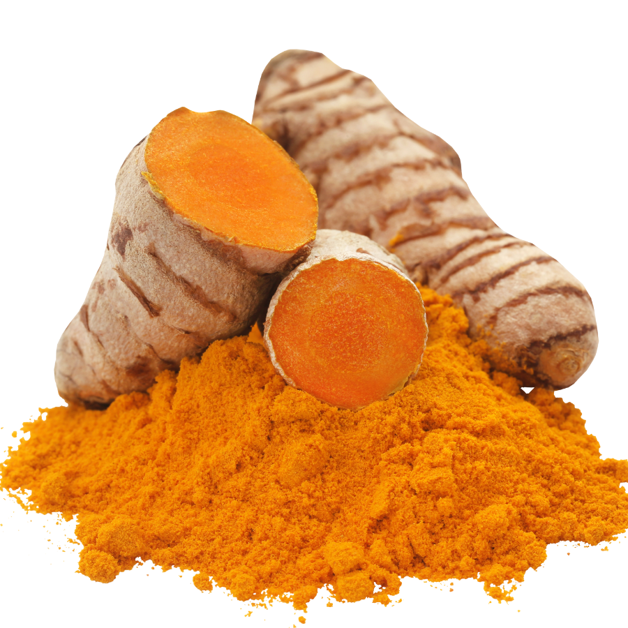 Turmeric Extract