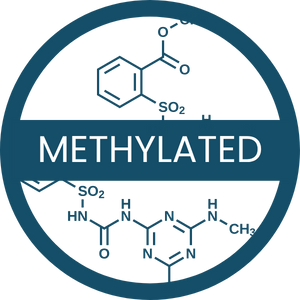 Methylated Vitamin Bs