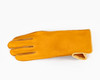 Beastmaster Bareback Riding Glove
