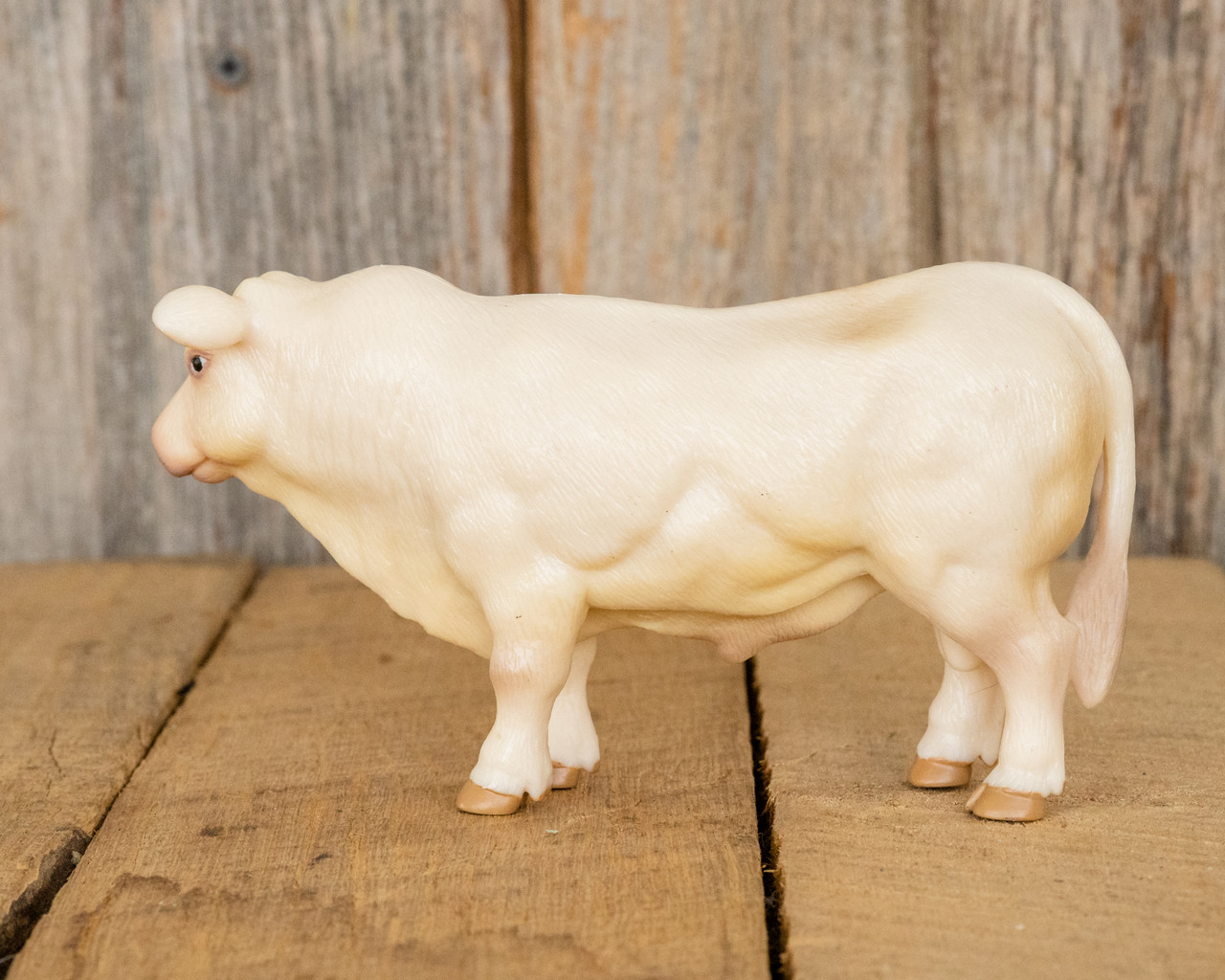Charolais Bull - Beastmaster Pro Rodeo Gear