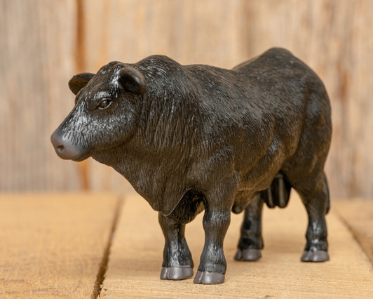 Black Angus Bull Black Angus Bull