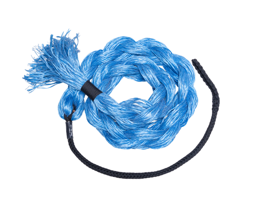 Blue Bronc Rein