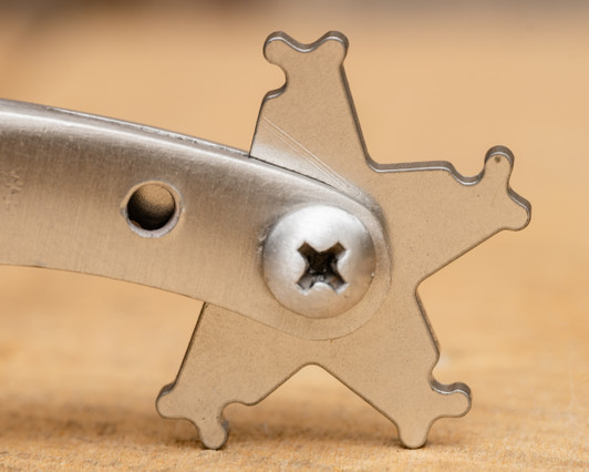 Ninja Star Bull Riding Rowel