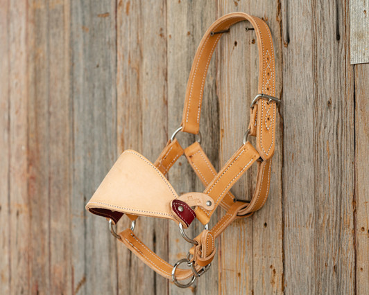 Gray Bronc Halter – Melissa's Custom Conchos