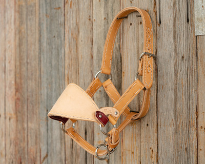 Leather Junior Bronc Halter - Beastmaster Pro Rodeo Gear
