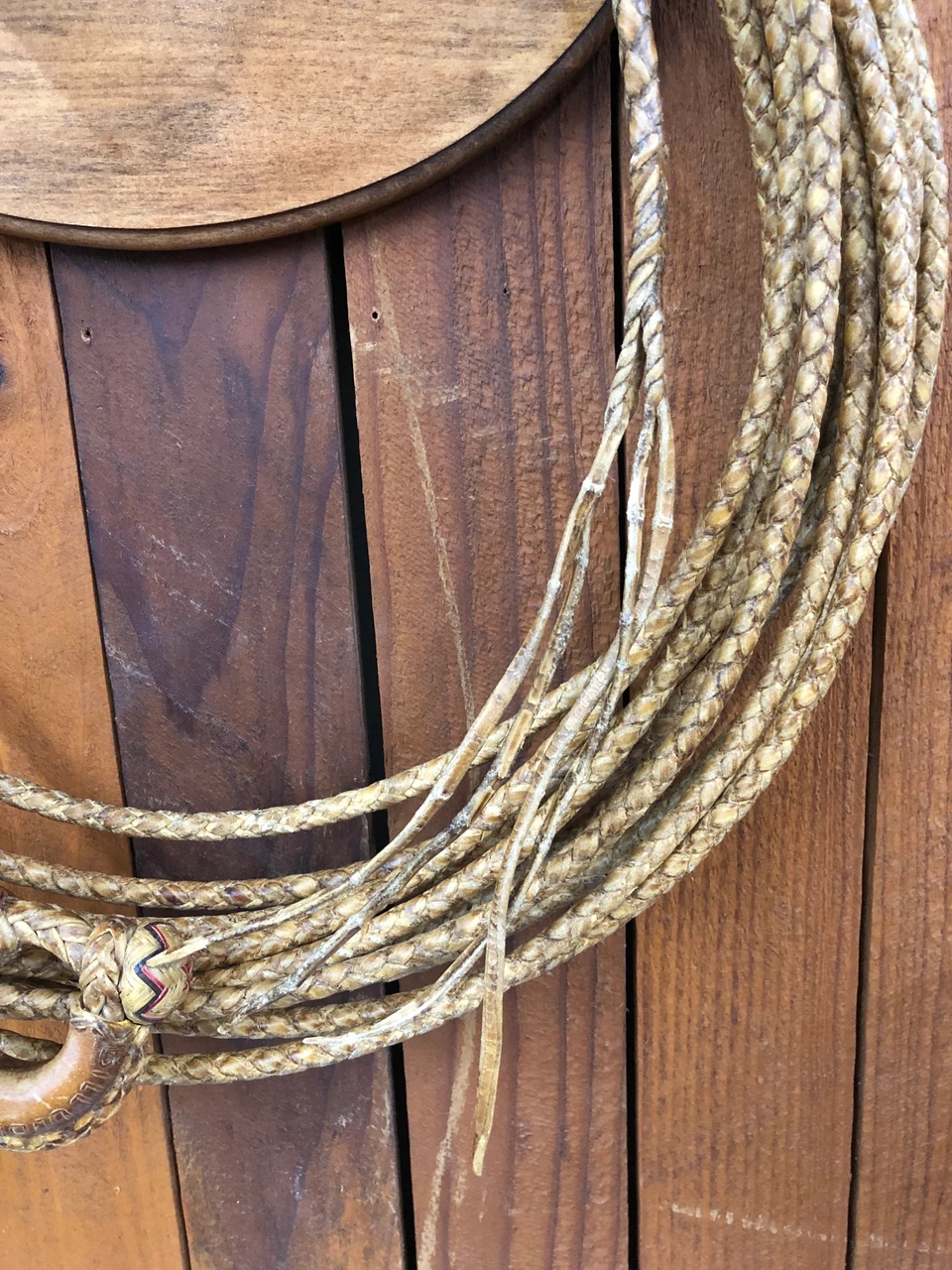 An Amazing 4-Strand Handmade Rawhide Reata by Luis Ortega