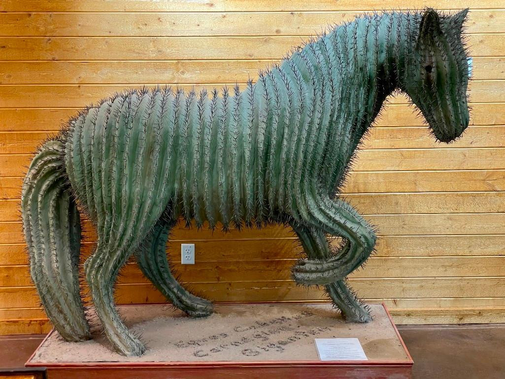 Large Cactus Horse Art By Simon Donovan