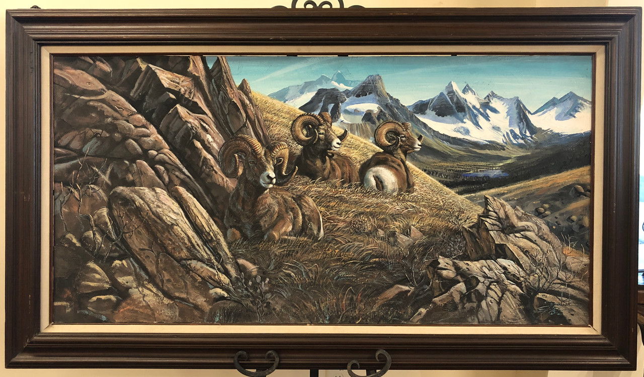 Big Horn Sheep Resting In A Mountain Landscape